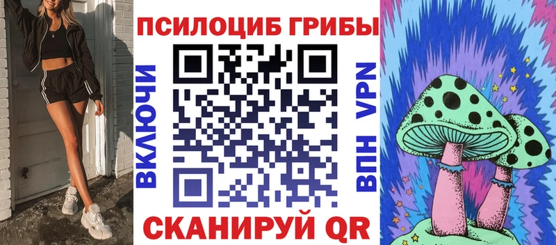 цены   Ялуторовск  Галлюциногенные грибы Psilocybine cubensis 