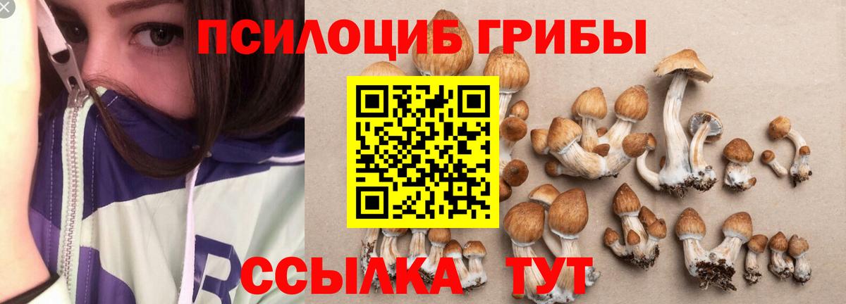 Псилоцибиновые грибы Magic Shrooms  Вход с VPN  Ялуторовск 
